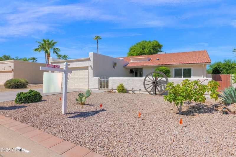 16-web-or-mls-P1315643