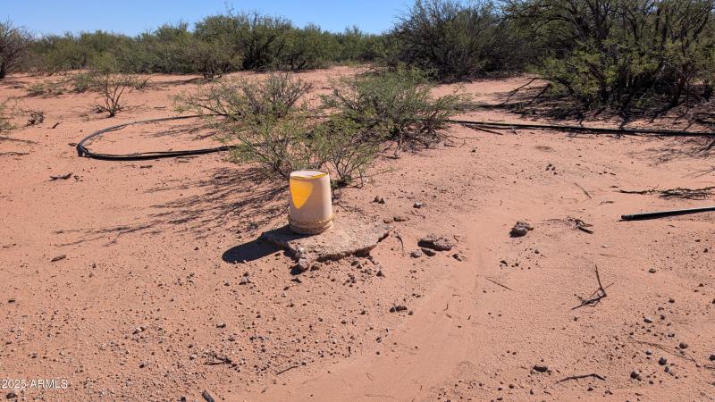 PXL_20251005_212443991