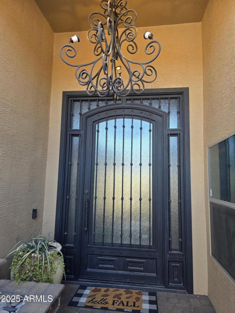 Custom Front Door