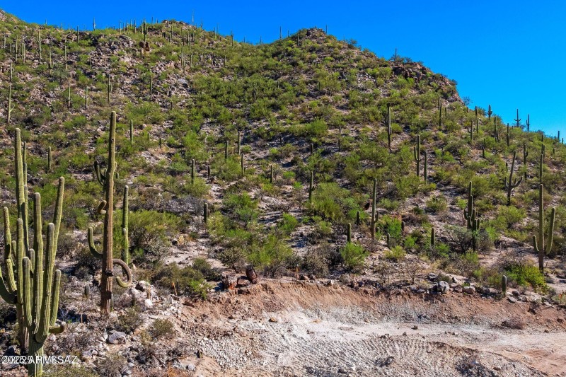 14144 N Tortolita Estates Drive