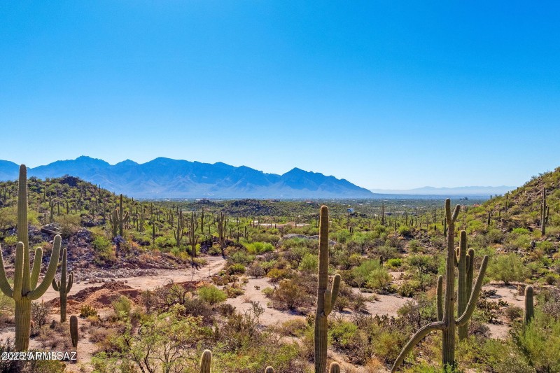 14144 N Tortolita Estates Drive