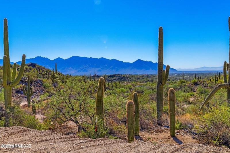 14144 N Tortolita Estates Drive