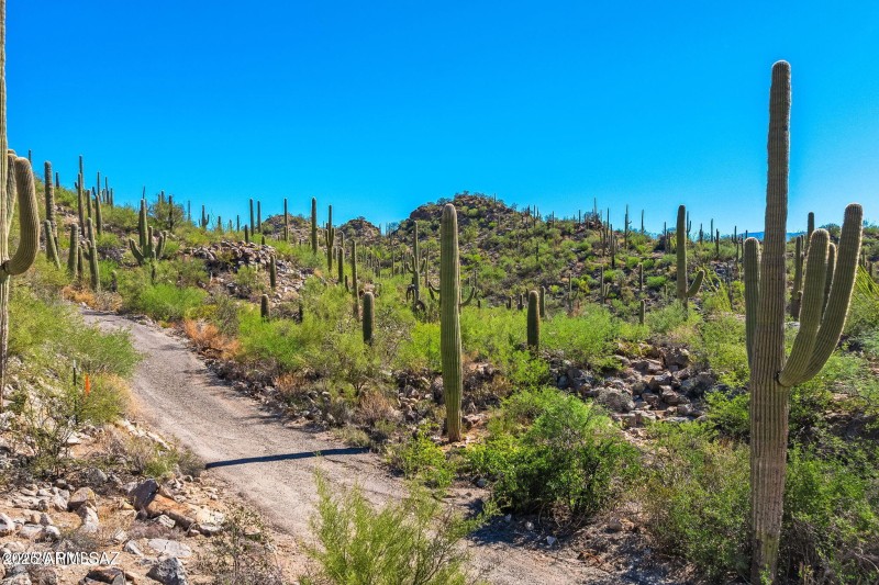 14144 N Tortolita Estates Drive