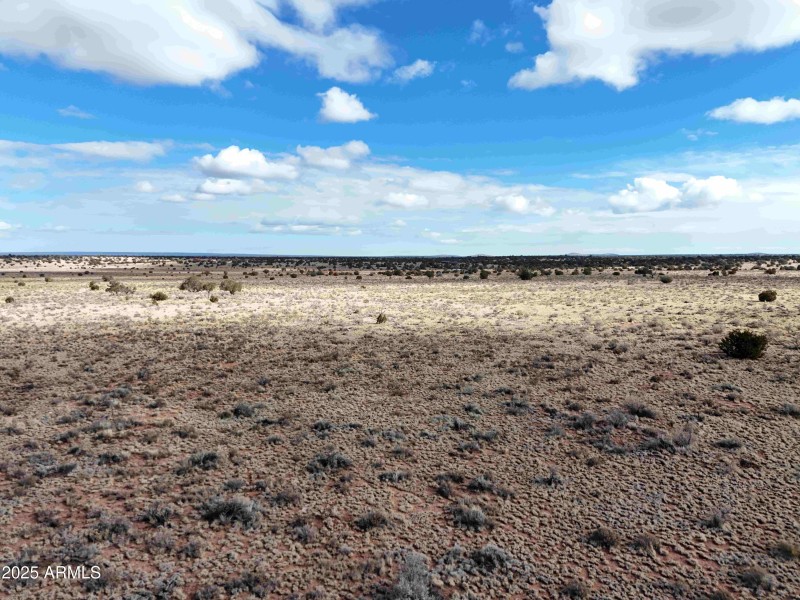 DJI_20250127110841_0989_D