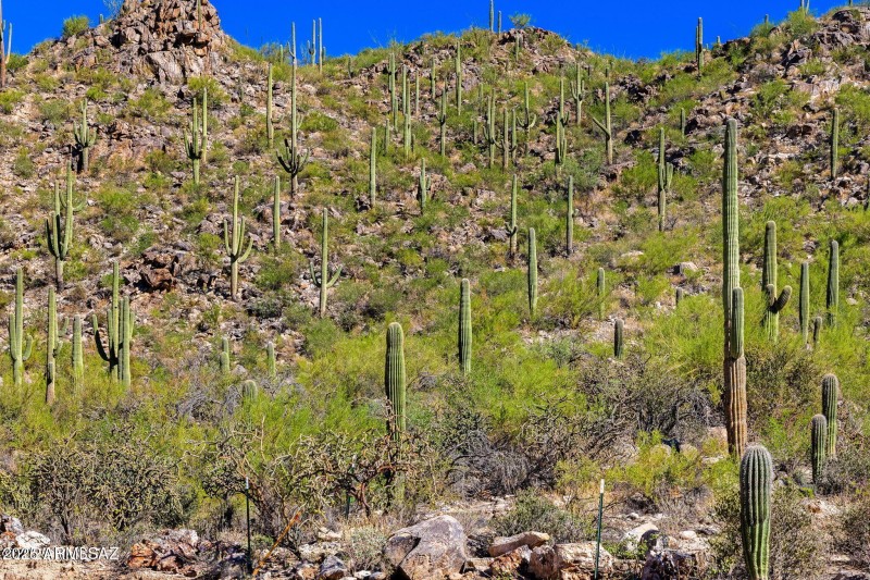 14124 N Tortolita Estates Drive