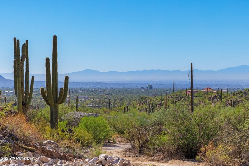 14124 N Tortolita Estates Drive