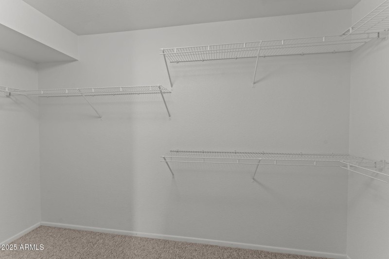 Large primary walk-in closet