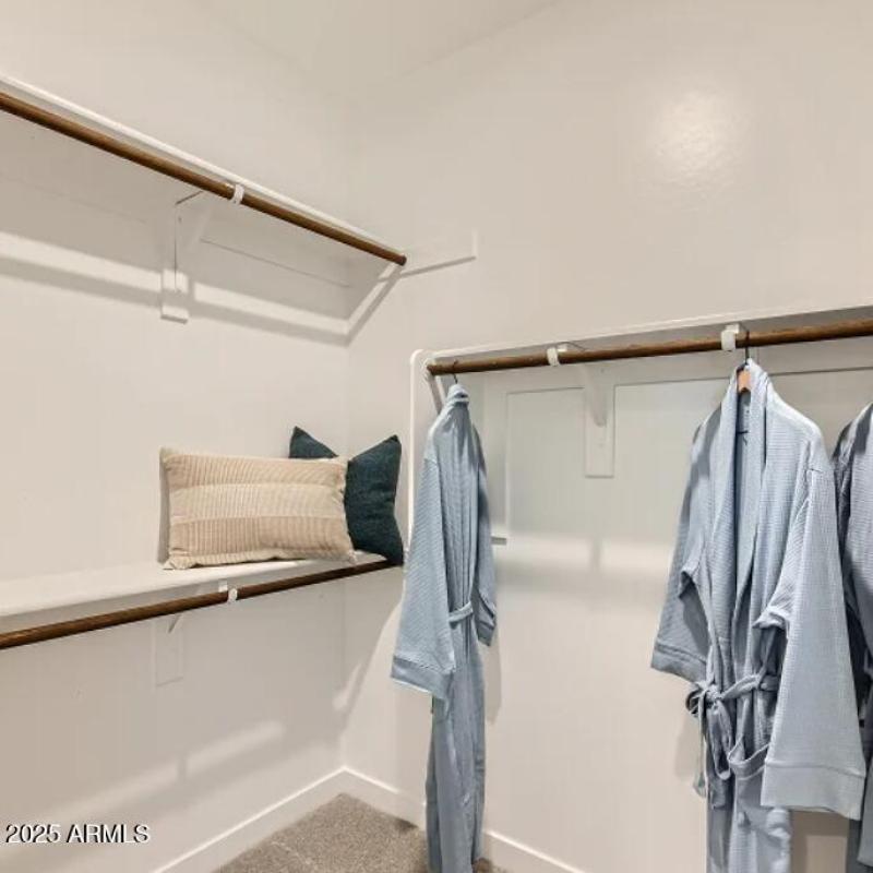 Owners Walk in Closet