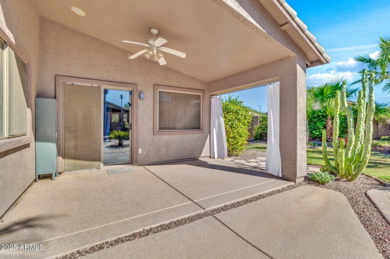 30178 N Coral Bean Dr-39