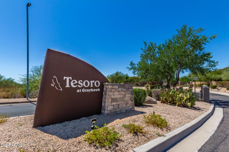 0042-42 - Grayhawk #2000