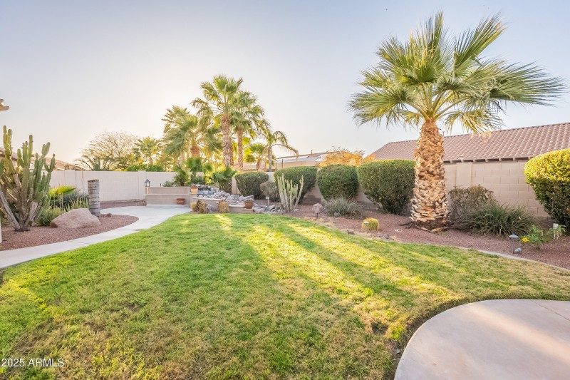 Real grass for your furry pets