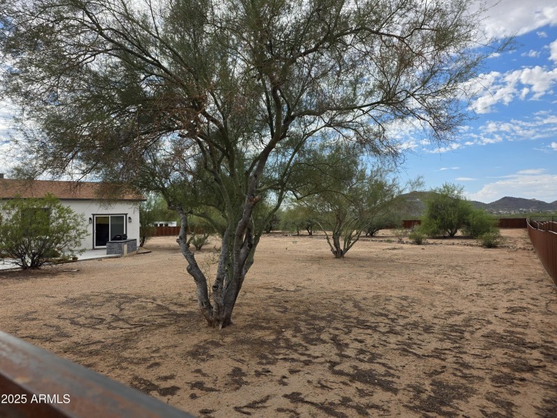 Yard off private patio/bbq area