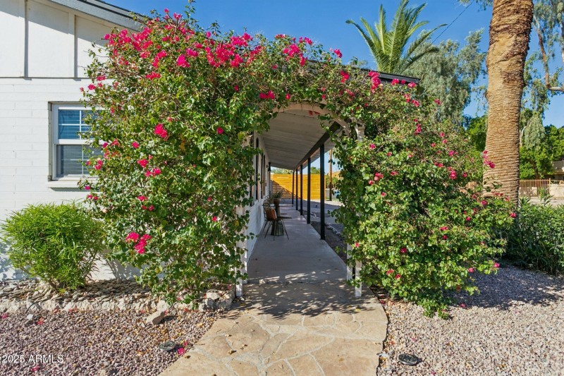 Bouganvillea leads to porch