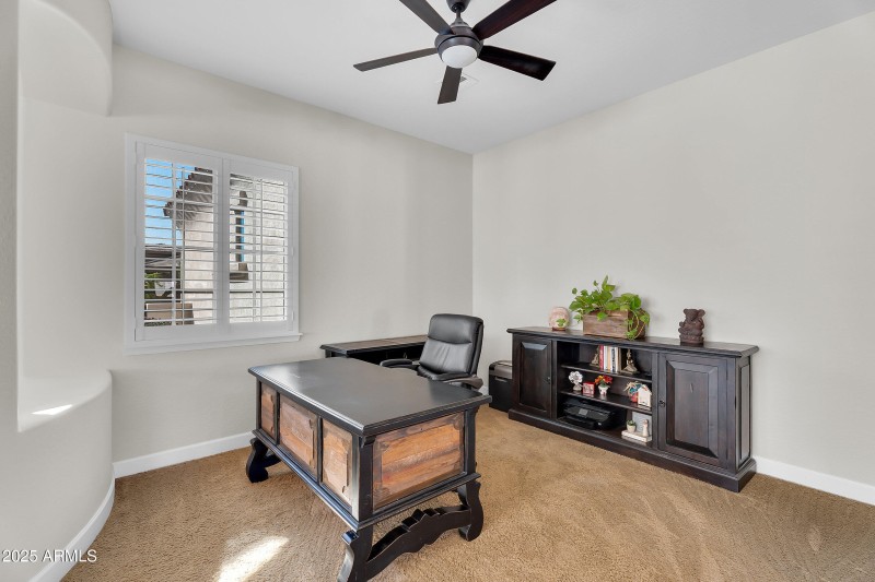 020_20-print-big_horn-12_498