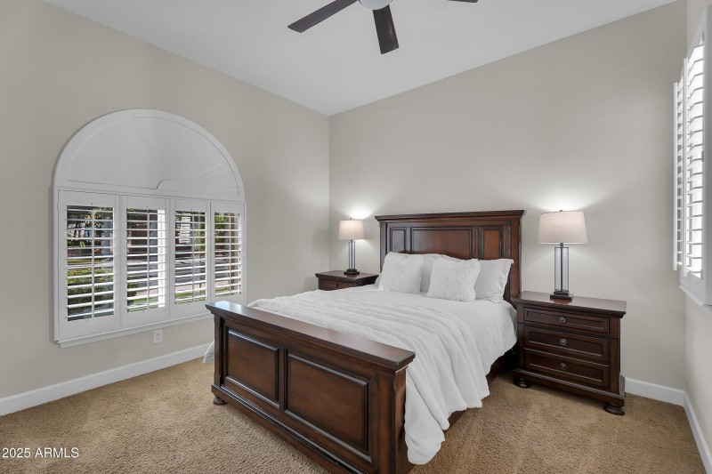 027_50-print-big_horn-46_293