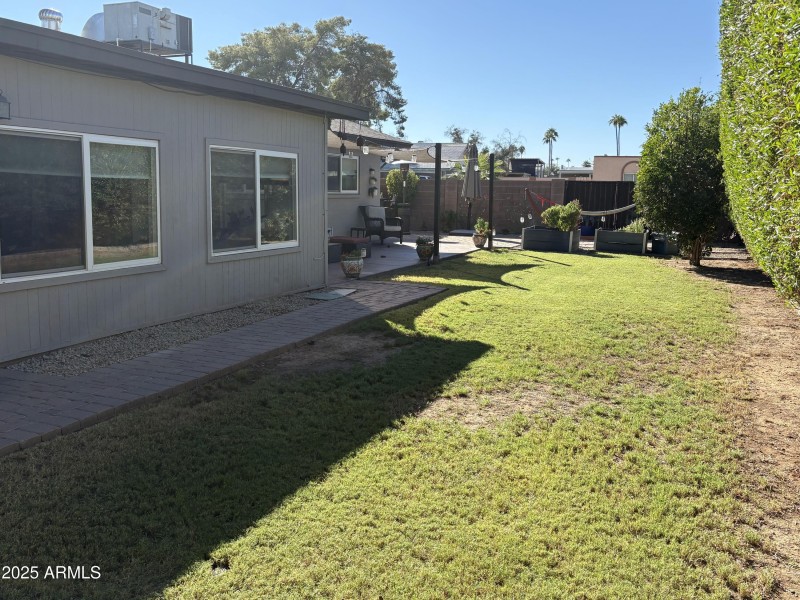 Backyard 1