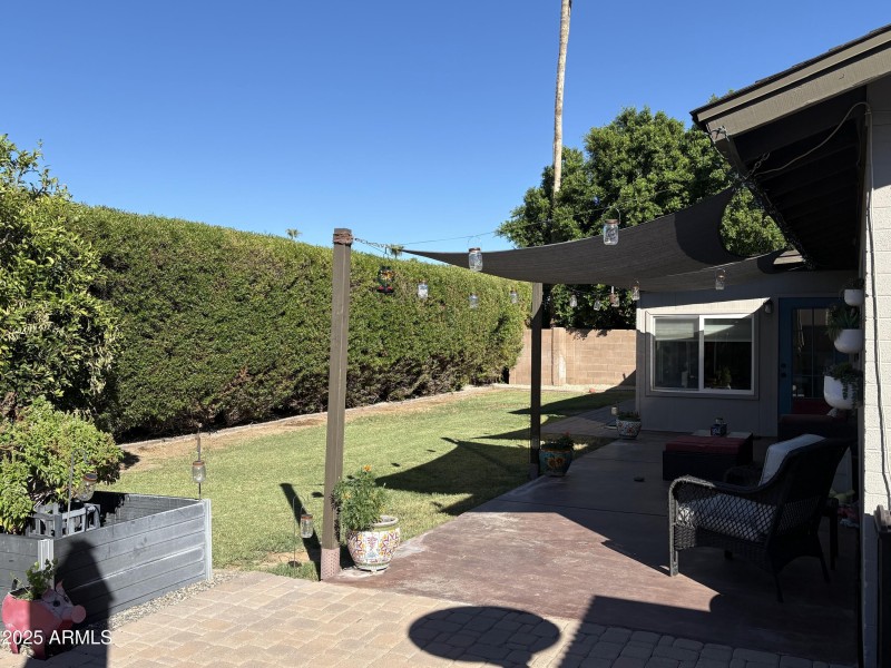 Backyard 2