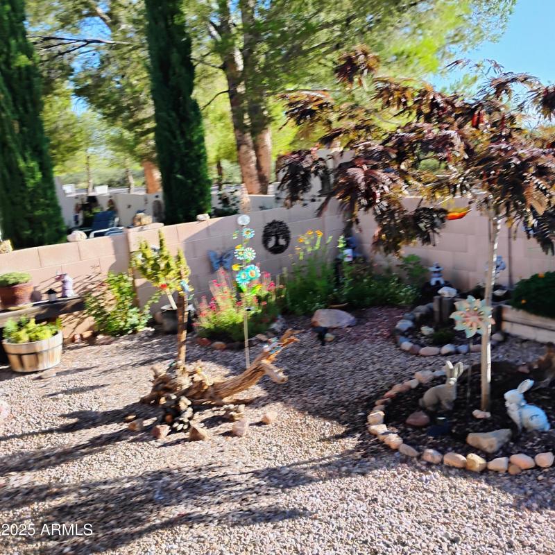 IMG_20250928_074349467_HDR_AE-scaled