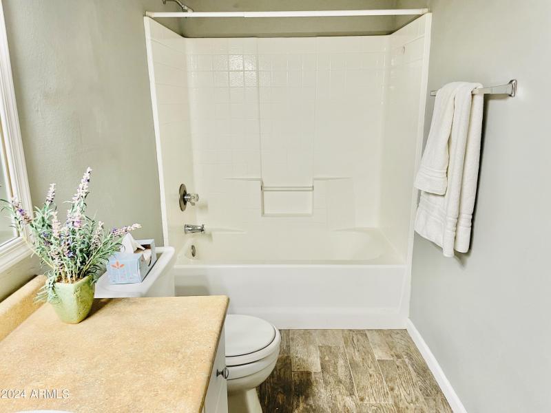 Bath with tub shower