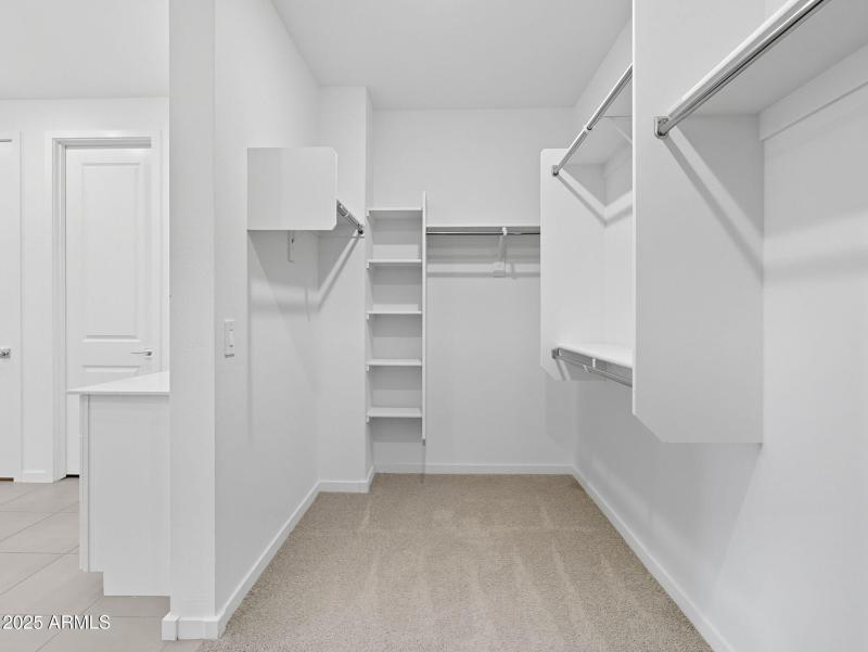 28-web-or-mls-Bee-28