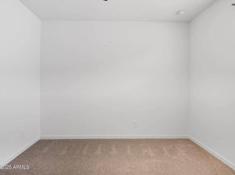 31-web-or-mls-Bee-31