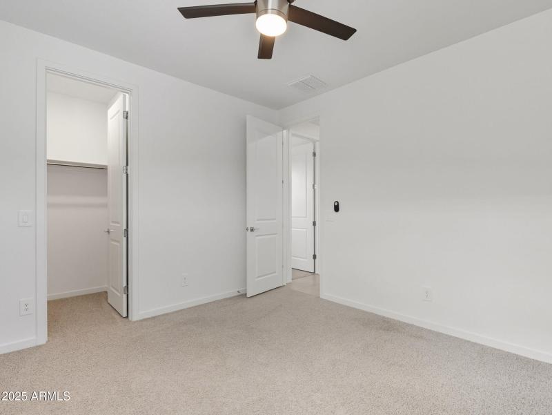 32-web-or-mls-Bee-32