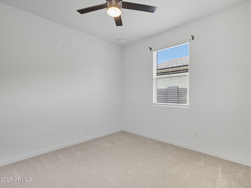 47-web-or-mls-Bee-47