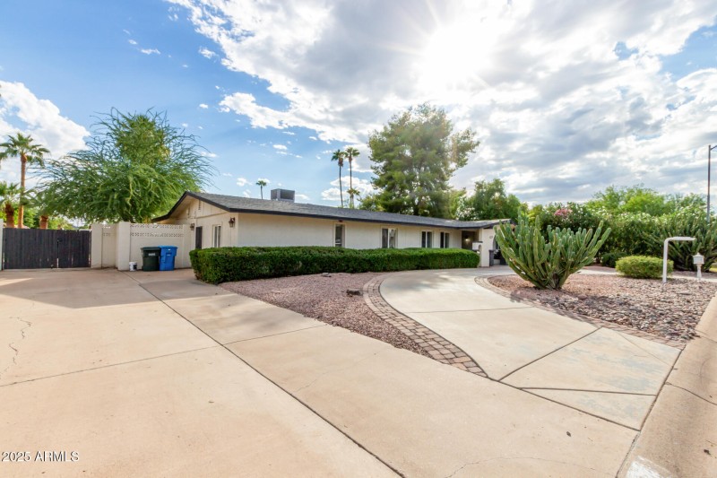 03 - Bloomfield 5529