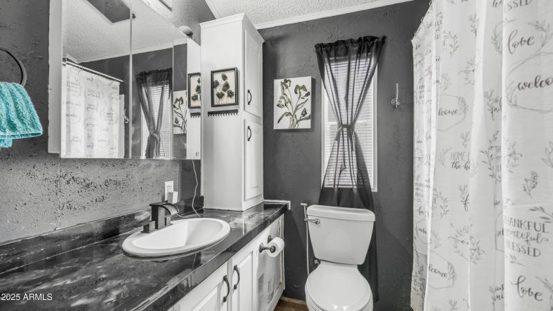 3710 S Goldfield Rd Lot 663 (4)