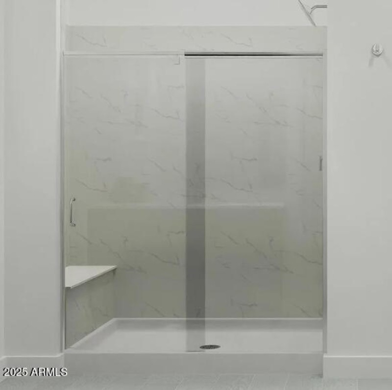 Owners Walk in Shower