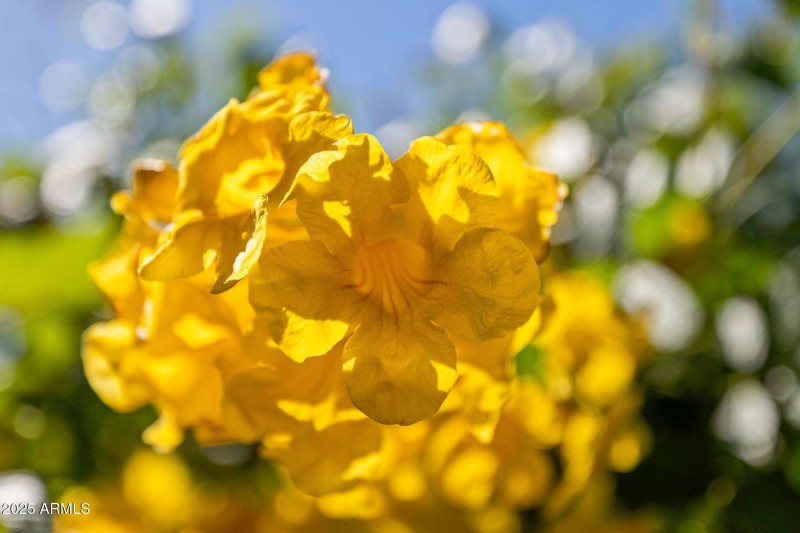 020__35532 N Sunset Trail