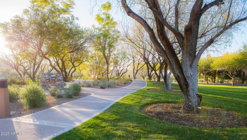 Path and Trail System 2