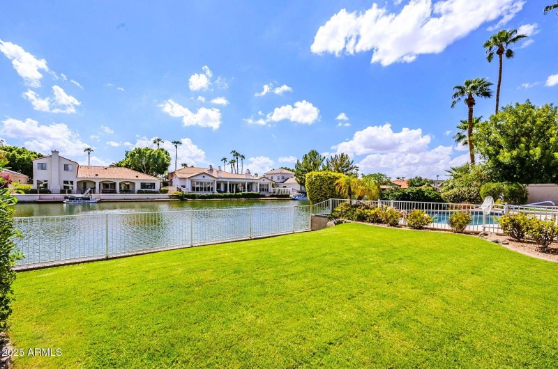 Lush Lawn in the Back Yard