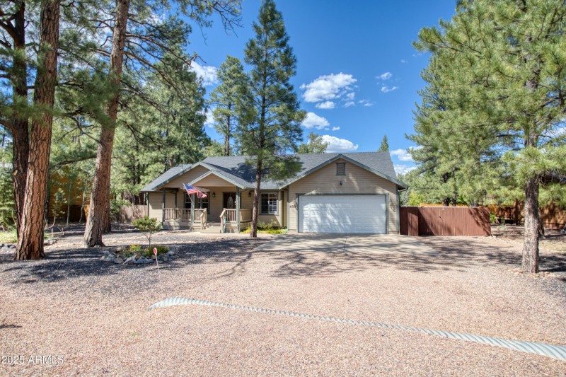 Paxmanphoto_PAX_2893