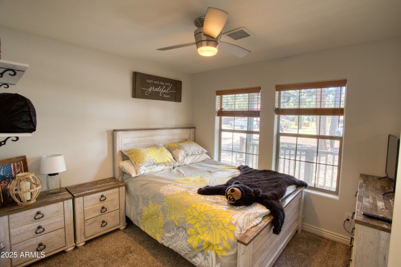 Paxmanphoto_PAX_2906