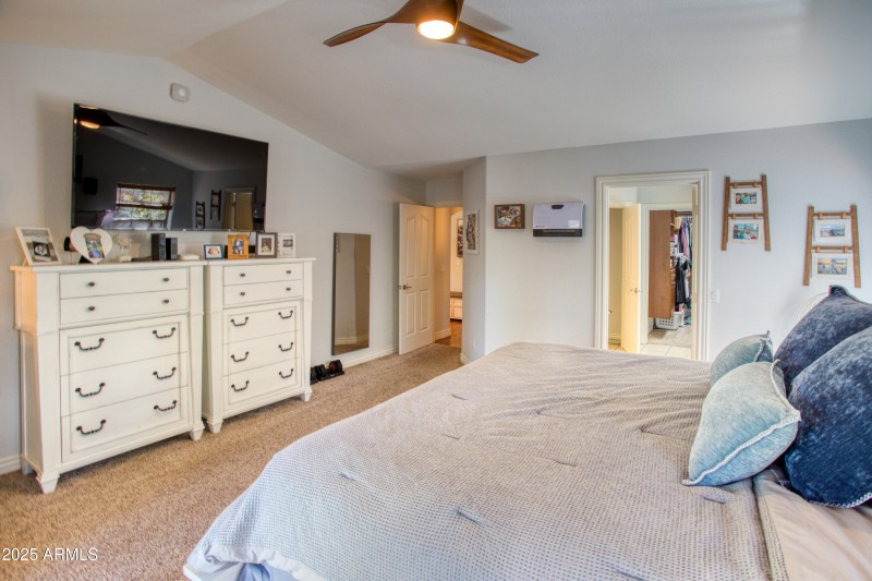 Paxmanphoto_PAX_2915