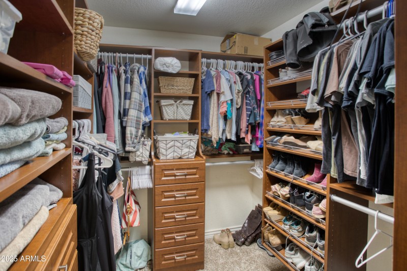 Paxmanphoto_PAX_2924