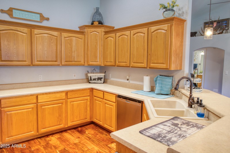 Paxmanphoto_PAX_2952