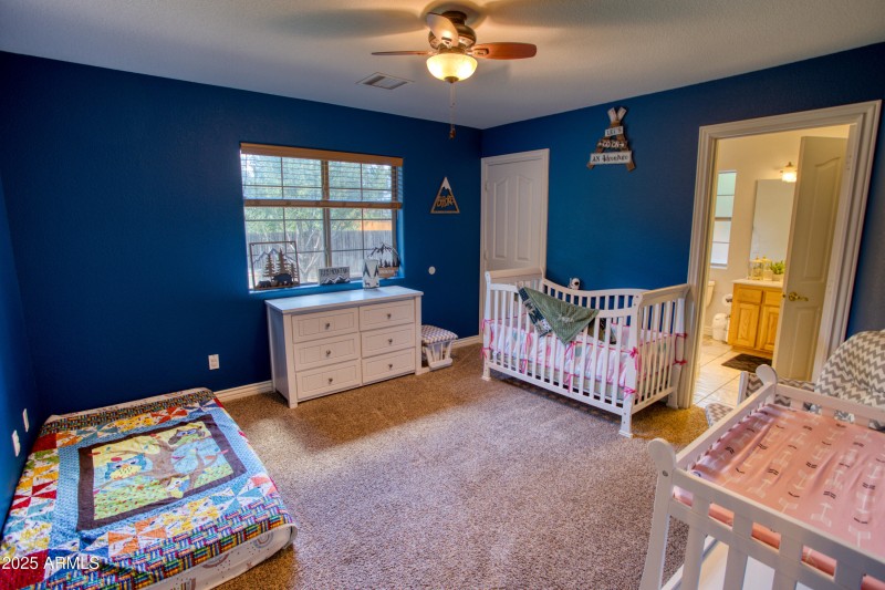 Paxmanphoto_PAX_2972