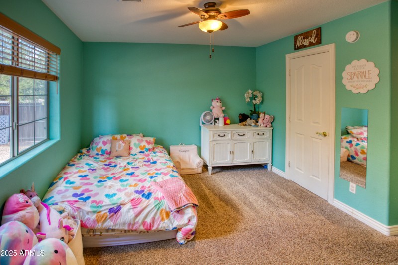 Paxmanphoto_PAX_2978