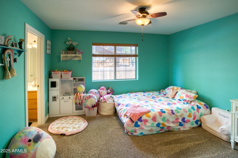 Paxmanphoto_PAX_2981