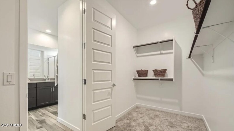 Owners Walk in Closet