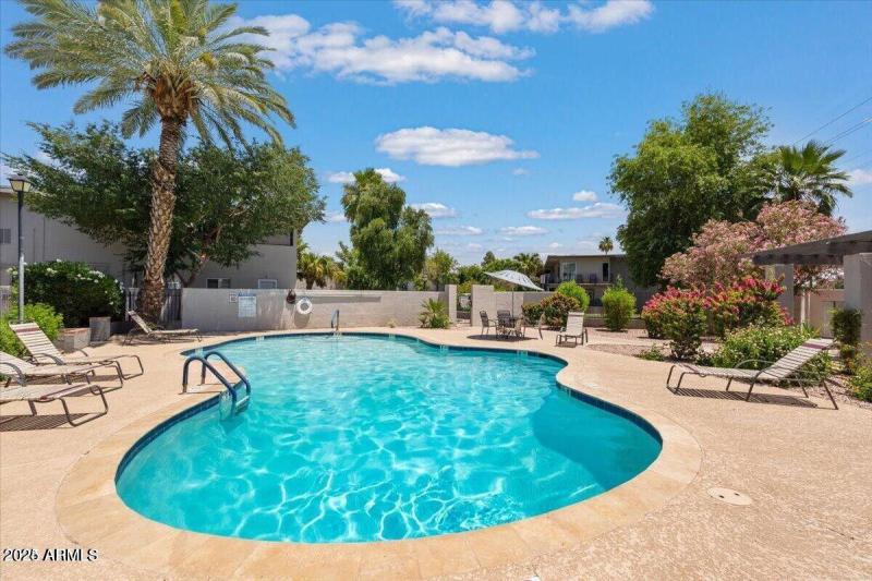 Sparkling Pool with Sunny Deck