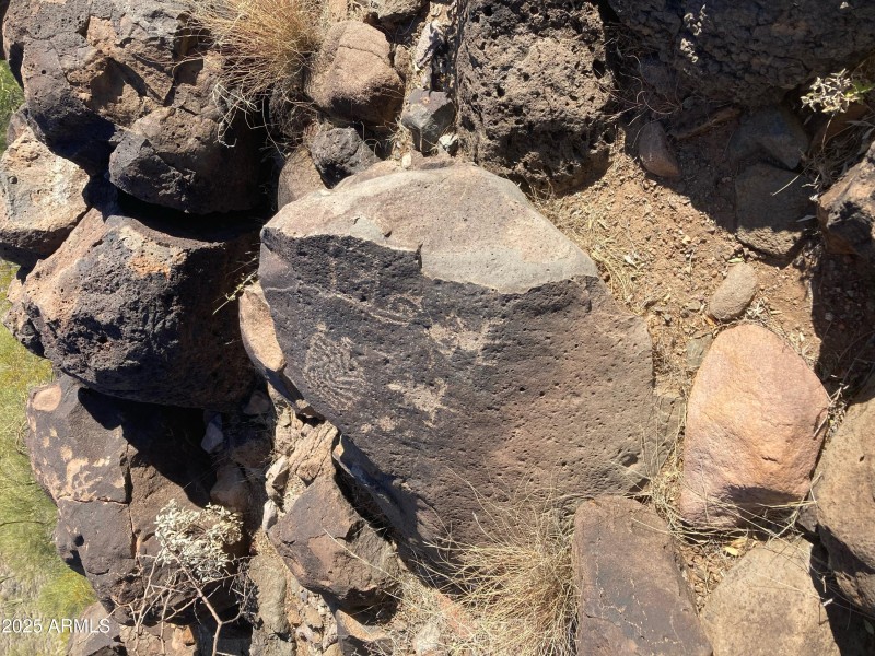 Tonto National Forest