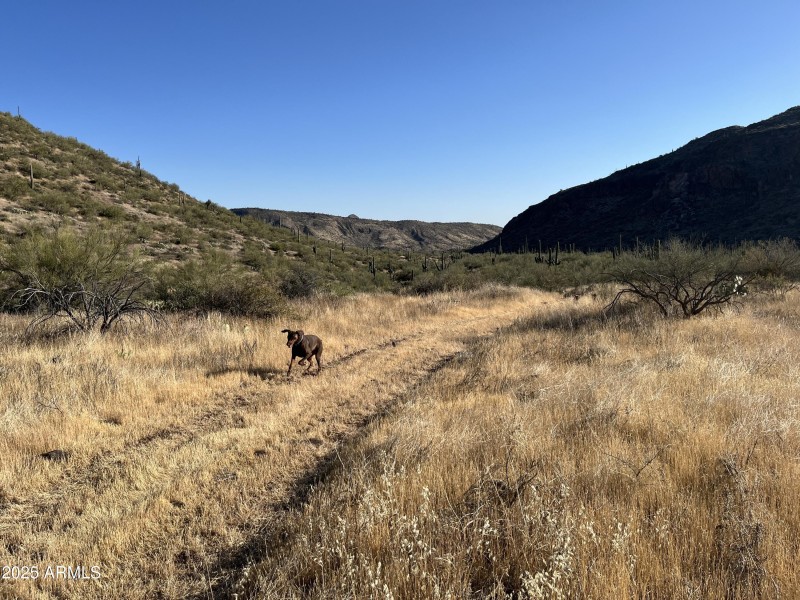 Traveling assistant.