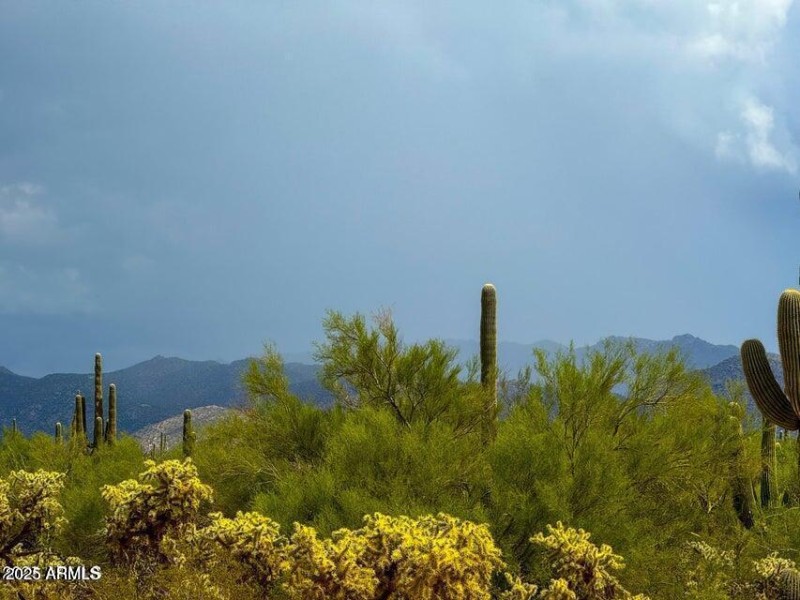 20251001064811191981000000-o