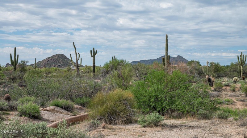 09-8580EArtisanPass-9