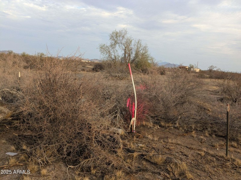 115595de-878a-45b8-ab74-d61f1d81a1c4