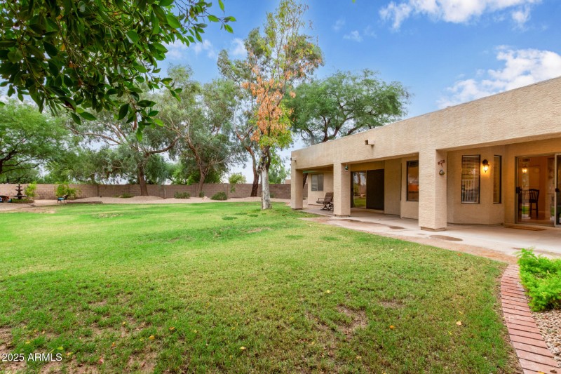 Backyard Grassy Play Area