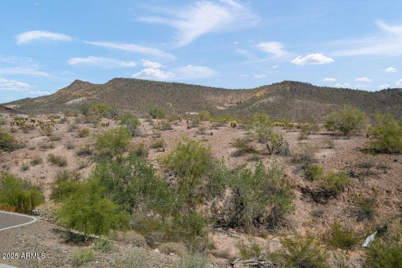 32591 N 122ND Avenue - Ready Now!